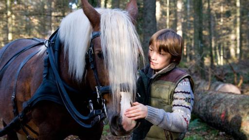 ein Junge mit einem Pferd