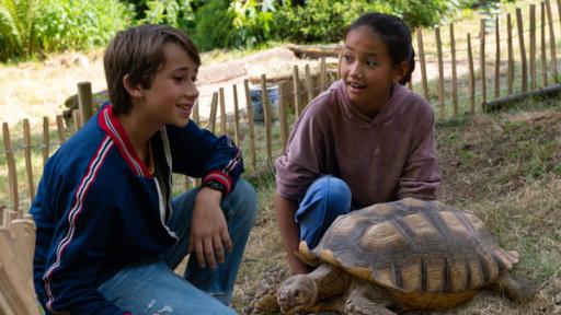 Ein Junge und ein Mädchen mit einer große Schildkröte im Garten