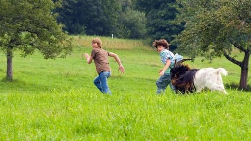 zwei Jungen laufen vor einem Ziegenbock weg