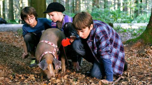 Dei Kinder mit einem Schwein im Wald