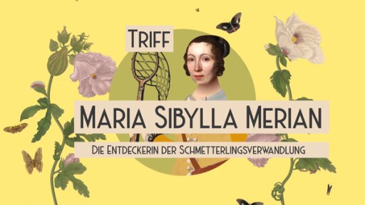 Maria Sibylla Merian  | Rechte: PixelPEC