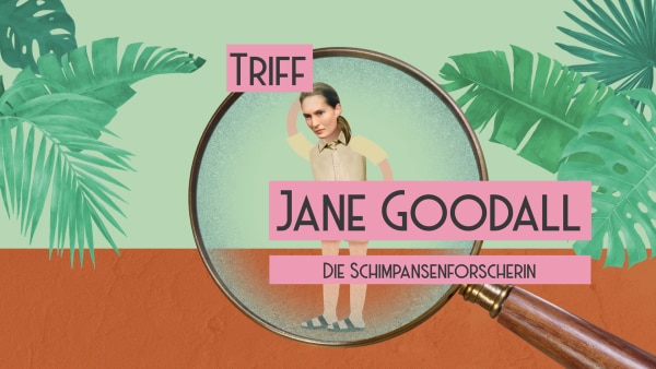 Jane Goodall | Rechte: PixelPEC