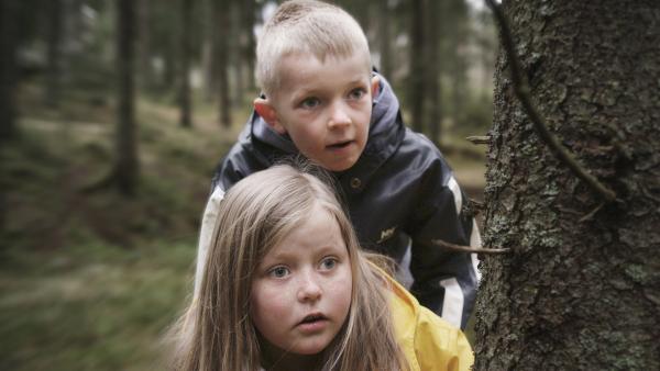 Robin (Erlend Böe) und Kaja (Synne Stensgård) beobachten, wie im Wald ein Gewehr versteckt wird. | Rechte: NDR/NordicStories