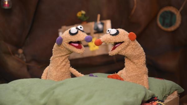 Die Erdmännchen Jan & Henry werden durch ein seltsames Geräusch in Ihrer Küche aus dem Schlaf gerissen. | Rechte: rbb/bigSmile Ent./NDR/MDR