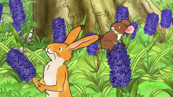 Det kleine braune Hase begibt sich mit seiner Freundin, der kleinen Feldmaus, auf die Suche nach dem besonderen Duft und sie finden herrlich duftende Blumen auf der Wiese. | Rechte: KiKA/SLR Productions Australia Pty.Ltd./Scrawl Studios Pte Ltd./hr/ARD
