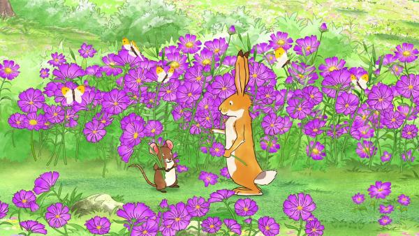 Der kleine Hase und die kleine Feldmaus sind so begeistert von den Blumen, dass sie für all ihre Freunde einen Strauß pflücken wollen. | Rechte: KiKA/SLR Productions Australia Pty.Ltd./Scrawl Studios Pte Ltd./hr/ARD
