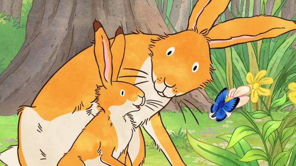 Als der große und der kleine braune Hase fröhlich über die Wiese hüpfen, entdeckt der kleine braune Hase einen wunderschönen blauen Schmetterling. | Rechte: KiKA/SLR Productions Australia Pty.Ltd./Scrawl Studios Pte Ltd./hr/ARD