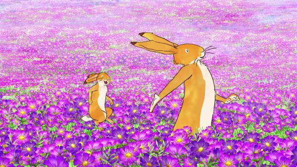 Der große und der kleine braune Hase erfreuen sich an der prächtigen Blumenwiese. | Rechte: KiKA/SLR Productions Australia Pty.Ltd./Scrawl Studios Pte Ltd./hr/ARD
