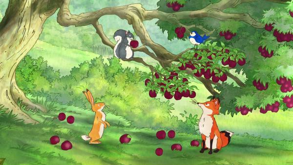 Der kleine braune Hase und seine Freunde genießen die köstlichen Früchte des Pflaumenbaums. | Rechte: KiKA/SLR Productions Australia Pty.Ltd./Scrawl Studios Pte Ltd./hr/ARD
