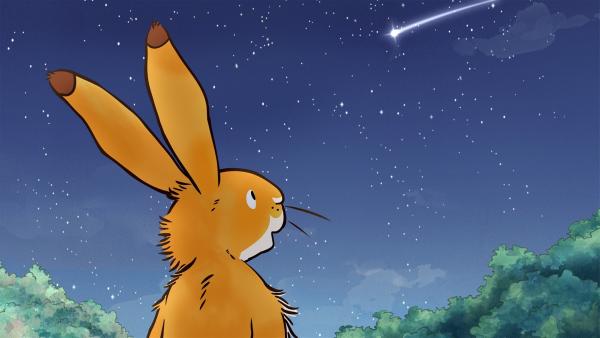 Der kleine Hase genießt die schöne Sommernacht. | Rechte: KiKA/SLR Productions Australia Pty.Ltd./Scrawl Studios Pte Ltd./hr/ARD