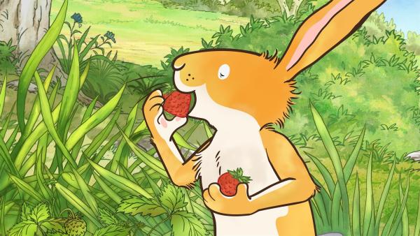 Der kleine Hase kann der Versuchung nicht widerstehen und isst die Erdbeeren auf, bevor er beim großen Hasen ankommt. | Rechte: KiKA/SLR Productions Australia Pty.Ltd./Scrawl Studios Pte Ltd./hr/ARD