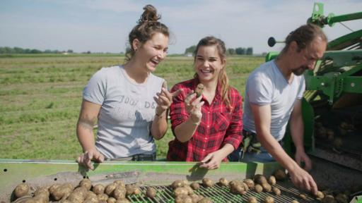 Ernte gut, alles gut (05) / Auf dem Kartoffelroder, der Kartoffelerntemaschine, sortieren Anna (Mitte) und Andrea faule Kartoffeln und Steine aus.