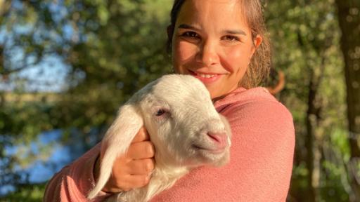 Die Schafe im Zwergenwald (04) / Ein Lamm hat Anschluss an die Herde verloren. Anna macht sich auf die Suche nach der Mutter.