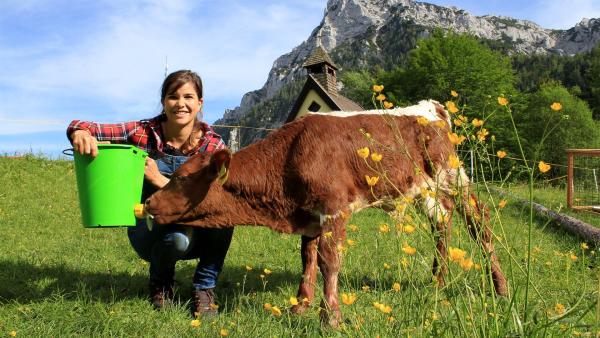 Anna füttert den jungen Stier Xaver mit Milch. | Rechte: BR/Bild Medienproduktion GmbH & Co. KG