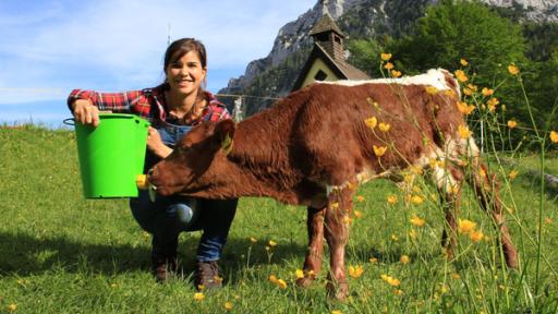 Der Räuber im Hühnerhaus (Folge 2) | Katis Kälber verbringen ihren ersten Sommer auf der Alm. Anna füttert den jungen Stier Xaver mit Milch.