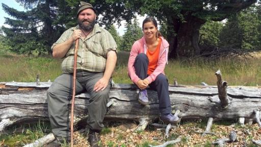 Wo sind die Steinmarder? / Anna und der Woife erleben die tollsten Abenteuer im Bayerischen Wald. Sie hilft ihm beim Aufpäppeln von Pflegetieren, er zeigt ihr dafür die tierischen Bewohner der Region.