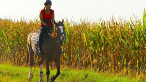 Anna lernt Reiten (2) | Im Galopp durchs Gelände zu reiten macht riesigen Spaß.