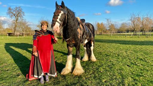 Shire Horse | Shire Horses wurden vor mehreren hundert Jahren gezüchtet, um Ritter und ihre schweren Rüstungen zu tragen. 