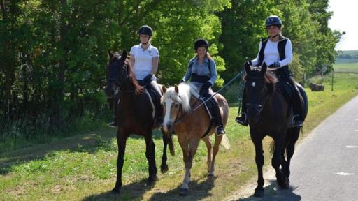 Pferd | Nina, Anna und Ute reiten aus. Wichtig: ein Reithelm und - für Anfänger - ein 	Rückenprotektor. Beim Ausreiten ist man an der frischen Luft und kann sich gleichzeitig sportlich betätigen.