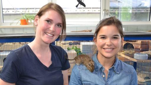 Degu | Das Degu-Männchen Rudi kennt keine Scheu: Neugierig probiert die kleine Strauchratte, wie gut es sich auf Anna klettern lässt.