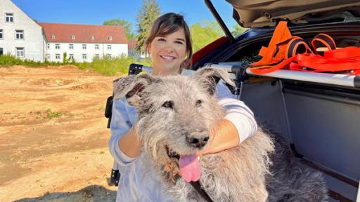 Archäologiehund | Anna lernt Archäologiehund Flintstone kennen. Dieser kann menschliche Knochen finden, die bis zu 14 Meter tief unter der Erde liegen.