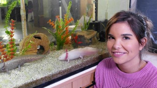 Axolotl | Anna (Annika Preil) vor einem Axolotl Aquarium