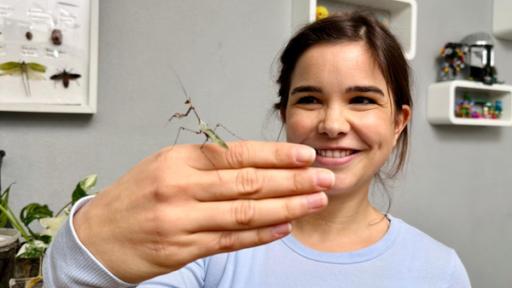 Anna und die Haustiere | Rechte: BR | Text und Bild Medienproduktion GmbH & Co. KG | Katharina Brackmann Gottesanbeterin | Für eine Verpaarung darf Anna eine Gottesanbeterin aus ihrem Terrarium holen. Der männliche Gottesanbeter ist super leicht und sehr filigran.