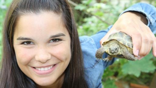 Schildkröte | Anna hält eine Schildkröte hoch