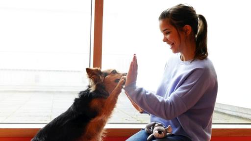 Schulhund Lunka im Einsatz | Lunka gibt Anna „High Five“. Das ist nur einer von zahlreichen Tricks, die sie beherrscht.
