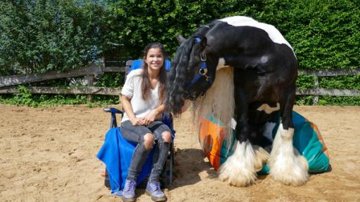 Tinker | Anna und Tinkerhengst „Cony“ haben es sich in der Sonne gemütlich gemacht.
