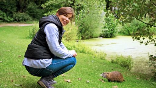 Nutrias in der Nachbrschaft | Mitten in Hamburg kommt Anna einem wilden Nutria ganz nah. Der Nager ist Menschen gewohnt, da er regelmäßig gefüttert wird.