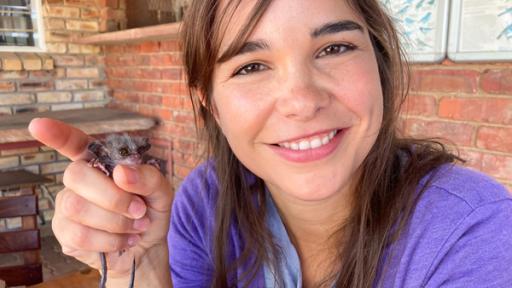 Im Wald der Buschbabys | Tierreporterin Anna mit Galago-Nachwuchs Ninja in einer Rettungsstation für Affen. Das Buschbaby-Baby wiegt gerade einmal 11 Gramm.