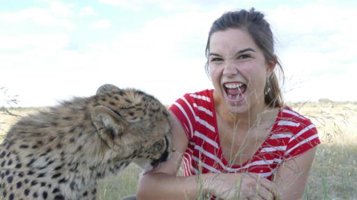 So jagd der Gepard | Anna bekommt die raue Zunge der Raubkatze zu spüren. Das fühlt sich wie Schleifpapier an. Dabei möchte der Gepard einfach nur etwas Salz abschlecken.