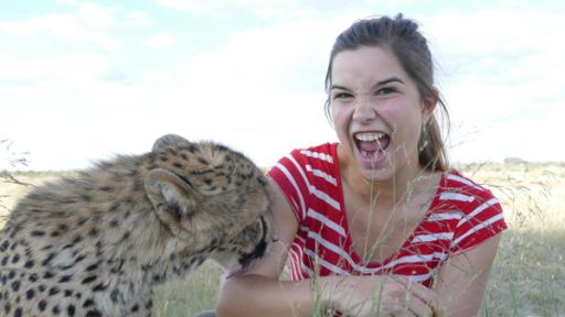 So jagd der Gepard | Anna bekommt die raue Zunge der Raubkatze zu spüren. Das fühlt sich wie Schleifpapier an. Dabei möchte der Gepard einfach nur etwas Salz abschlecken.