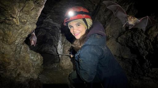 Anna und die wilden Tiere | Rechte: BR | Text und Bild Medienproduktion GmbH & Co. KG | Katja Schübl Nachwuchs bei den Großen Hufeisennasen | Anna seilt sich in einer Höhle nahe Hohenburg ab, in der die Fledermäuse "Große Hufeisennasen" wohnen.