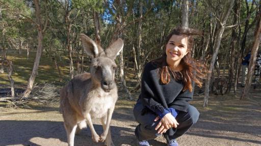 Boxen mit dem Känguru | Anna mit Känguru auf der Insel Kangaroo Island