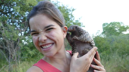 Das Tannenzapfentier | Das Pangolin hat eine feine Spürnase. Vielleicht haben sich in Annas Ohr ja ein paar Ameisen versteckt, ihre Hauptnahrung der Tannenzapfentiere.
