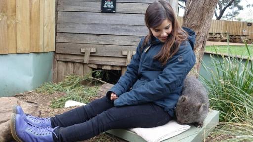 Warum der Womabat Würfel kackt / Anna mit kleinem Wombat im Tierpark Bonorong in Tasmanien