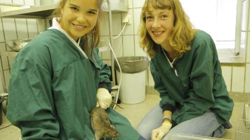 Wer lässt die Maus raus? | Anna hilft der Biologin Annika bei einem Experiment mit Mäusen. 