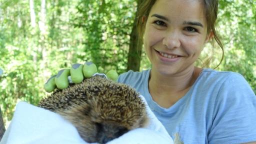 Wer lebt im Garten? / Anna und Igel Max