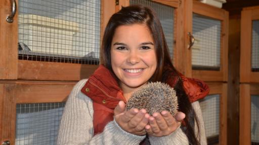 Wie kommt der Igel durch den Winter? / Anna und ein Jungigel