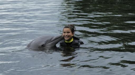 Wie pupst der Delfin? | Ein Küsschen von einem Delfin? Damit hätte Anna wirklich nicht gerechnet.