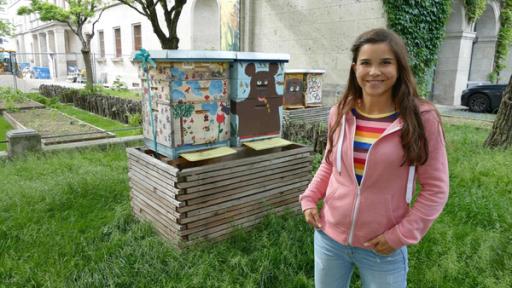 Wilde Tiere in der Stadt / Städte sind vielfältige Lebensräume für viele Tiere. Auch Bienen haben hier Platz. Knapp 200 Bienenarten leben in München.