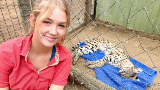 Die geheimnisvolle Raubkatze namens Serval | Ein Serval im „Aufwachraum“. In zwei Monaten darf die schöne Raubkatze zurück in die Wildnis. 