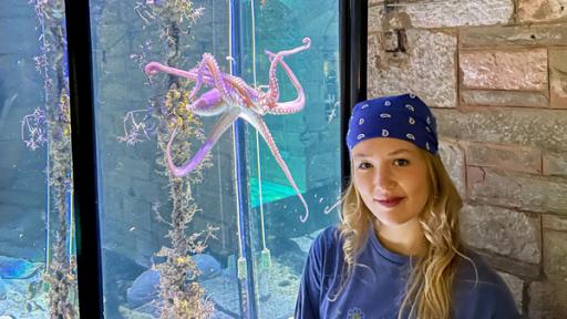 Unterwasserkino für den Oktopus | Im Aquarium der kroatischen Hafenstadt Pula schaut sich Nina Oktopusse aus der Nähe an.