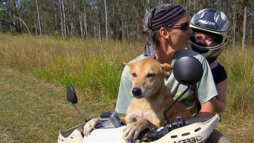 Wer ist der oberste Dingo? | Paula und Dingo auf Motorrad