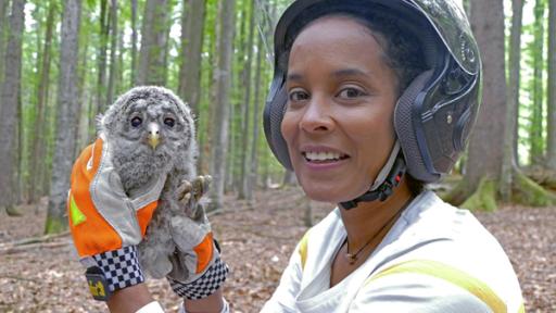 Der Habichtskauz ist wieder da! | Pia hält einen jungen Habichtskauz in den Händen. Der flauschige Kerl wird im Rahmen eines Schutzprojekts im Bayerischen Wald beringt.
