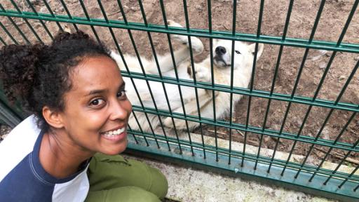 Die mit dem Wolf heult | Pia besucht die Arktische Jungwölfin Luna im Wolfcenter Dörveden.