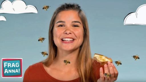 Eisbären, Bienen, Leoparden | Anna erklärt wie Bienen Honig machen