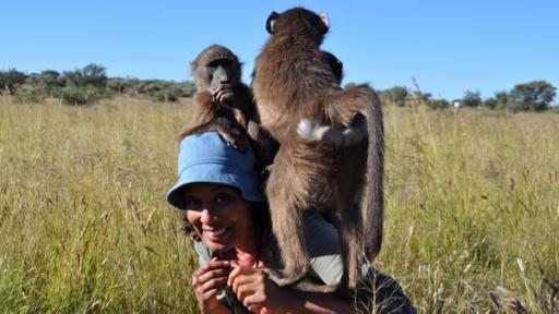 Das Zaubergras der Savanne | Pia spielt mit den Pavianen einer Wildtierstation in Namibia. Auch die ernähren sich hier vom Zaubergras der Savanne.